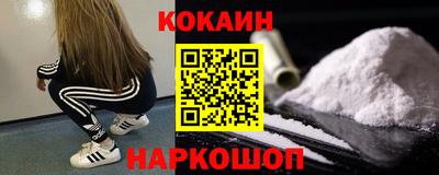 сатива Будённовск